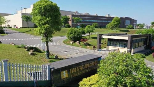 人福药业（武汉、宜昌）